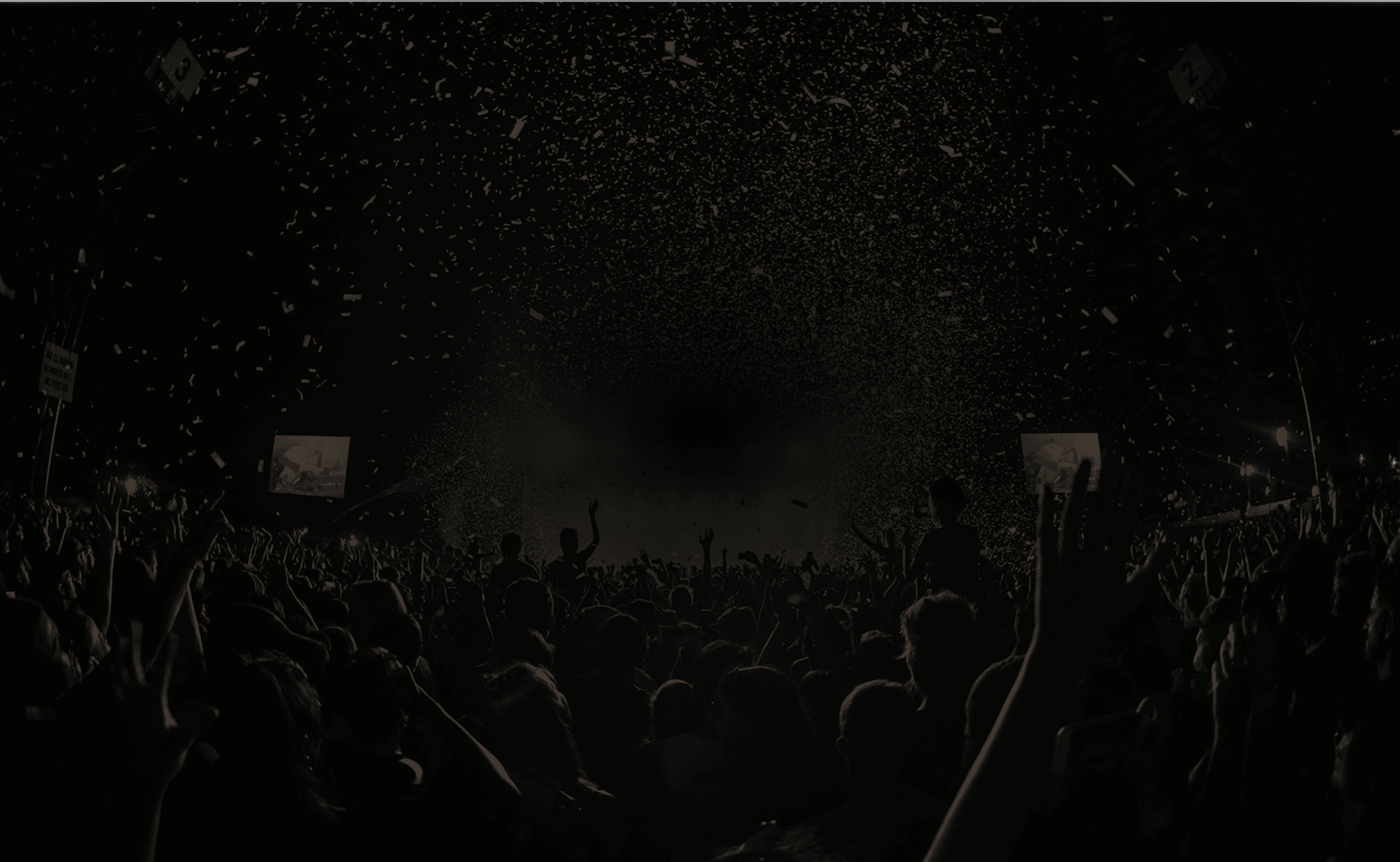 Crowd enjoying an event